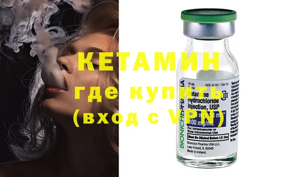 дживик Няндома