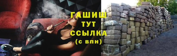 дживик Няндома