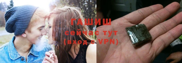 дживик Няндома