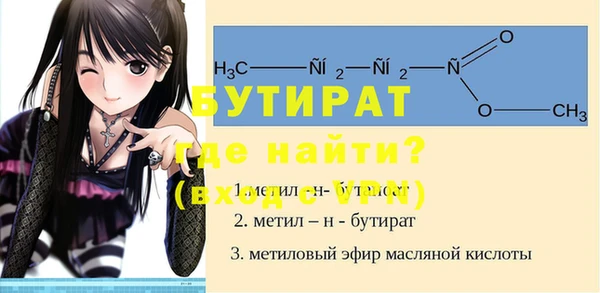 дживик Няндома