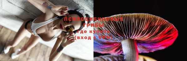 дживик Няндома