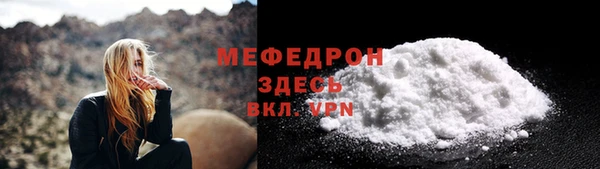 дживик Няндома