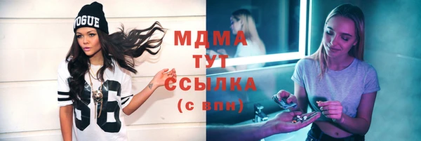 дживик Няндома