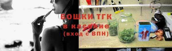 дживик Няндома