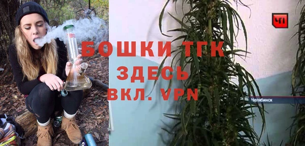 дживик Няндома