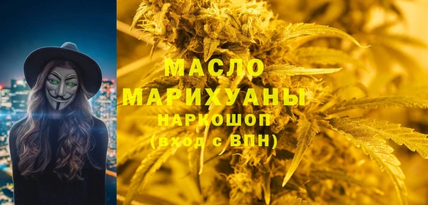 дживик Няндома