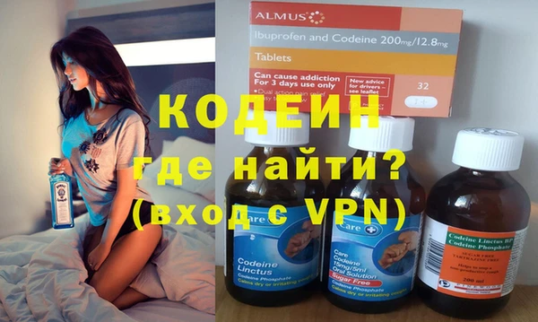 дживик Няндома