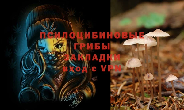 apvp Нязепетровск