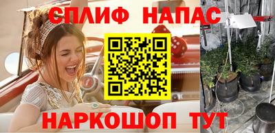 МДПВ Абинск