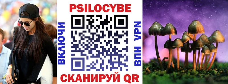 Галлюциногенные грибы Psilocybe  Когалым 