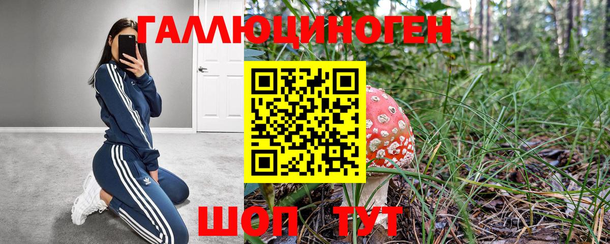 Галлюциногенные грибы мухоморы Когалым