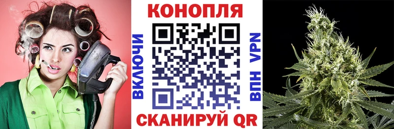 Марихуана план  закладки  Когалым 