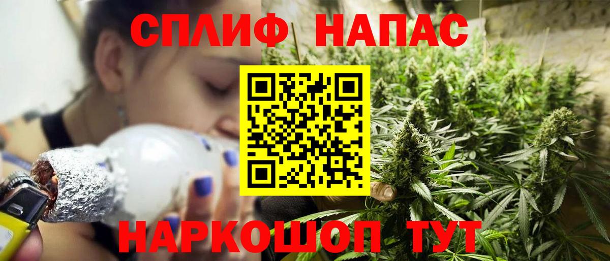 Каннабис конопля Когалым